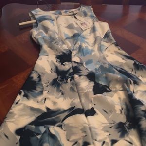 Size 6 Calvin Klein Dress